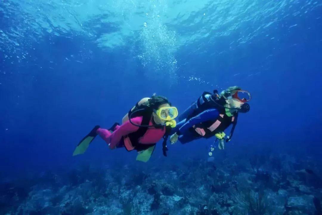 逃出美丽度假胜地